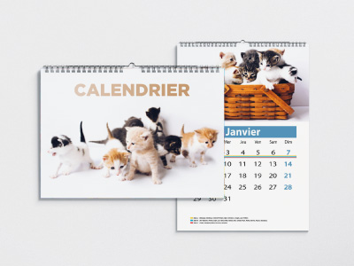 Calendrier des pompiers et chats