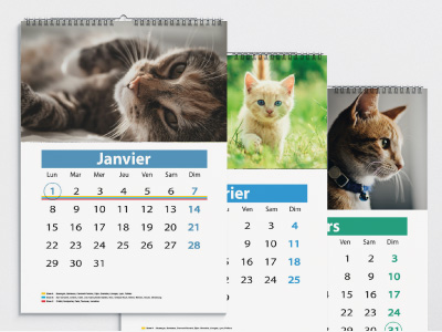 Calendrier pompier avec des chats